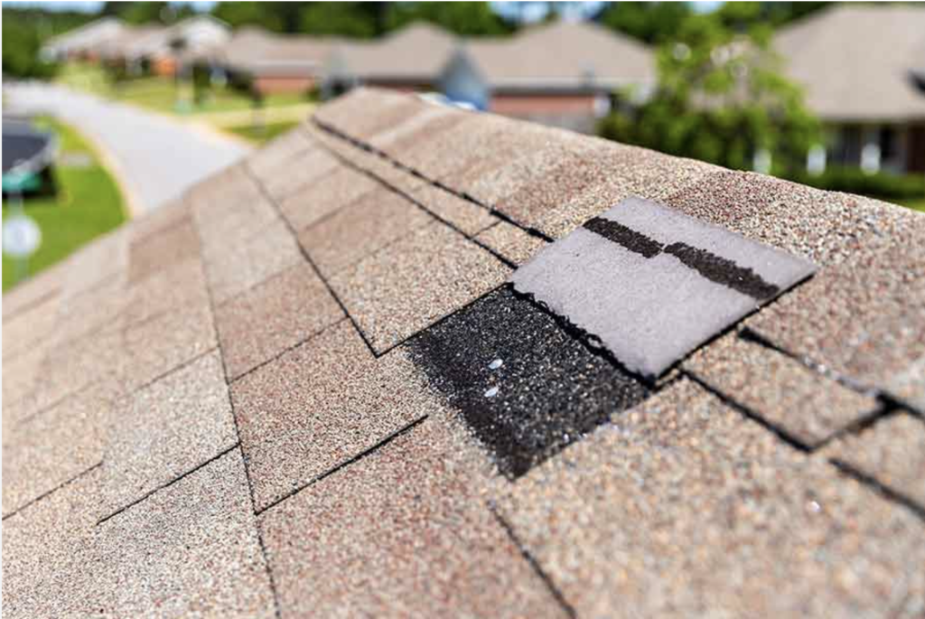 damaged roof shingle
